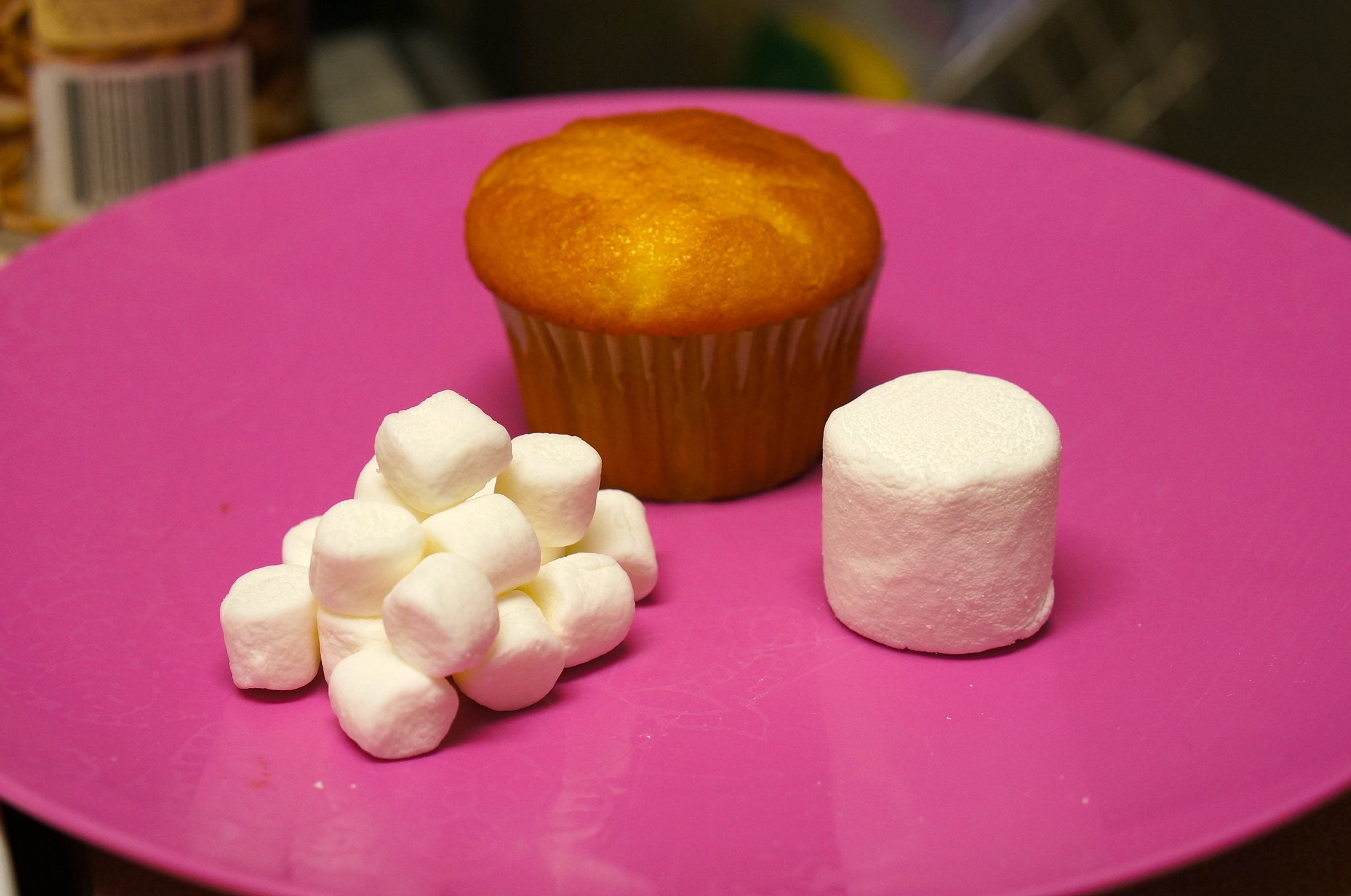 How-to-make-a-sheep-cupcake