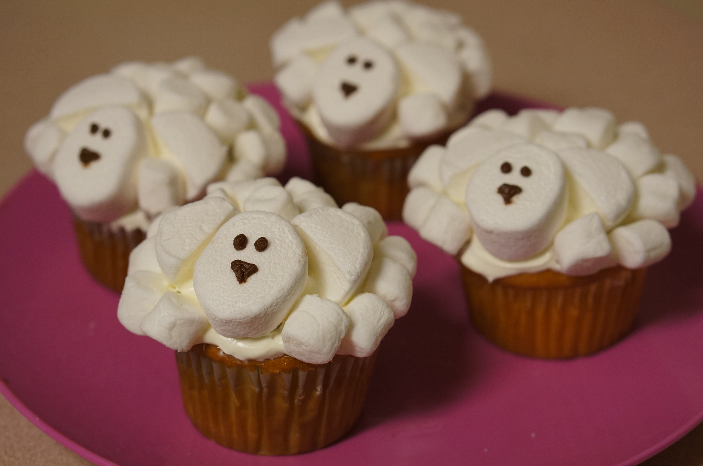 Sheep-cupcakes